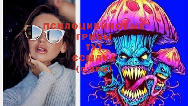 гидропоника Зерноград