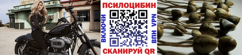 Псилоцибиновые грибы прущие грибы  Купить где  Карачев 